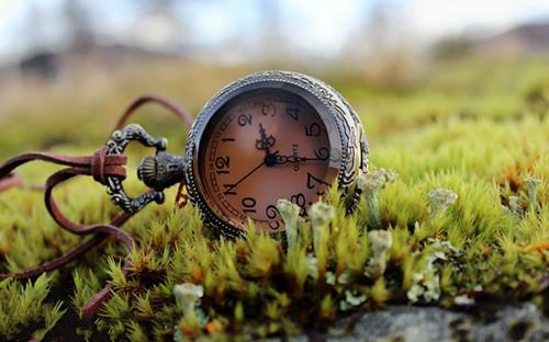 抖音表达友谊的句子