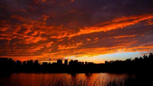 抖音表达友谊的句子