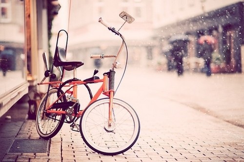 抖音中的英语句子