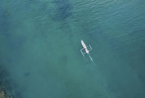 1687308237603133.png image.png