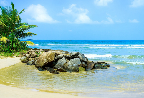 1687314900134995.png image.png