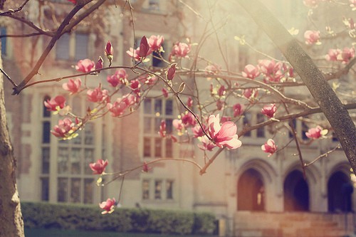 关于尝试的好句