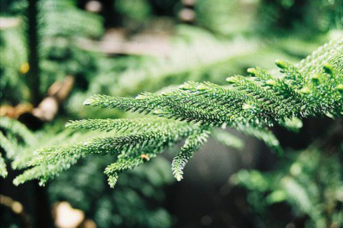 女人心态好的一句话 女人心态阳光的句子(70句)