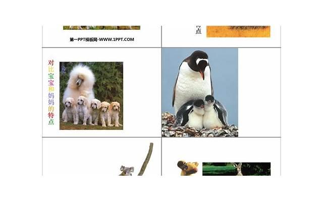  比赛造句一年级短句话收集60条