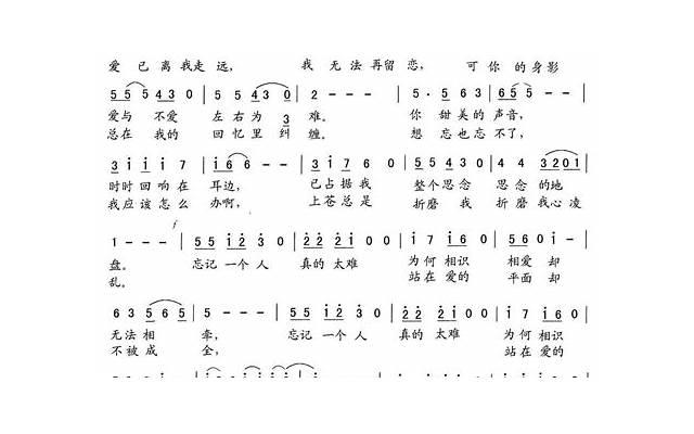 太过于自信的人下一句