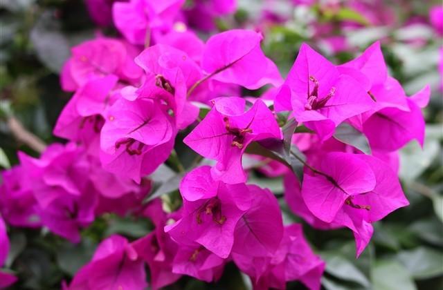 搬新家低调发朋友圈的句子