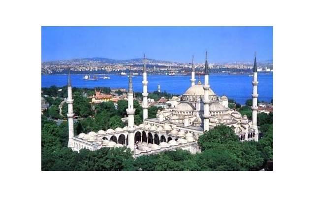 整理多肉晒朋友圈的句子精选8句 整理多肉晒朋友圈的句子精选8句