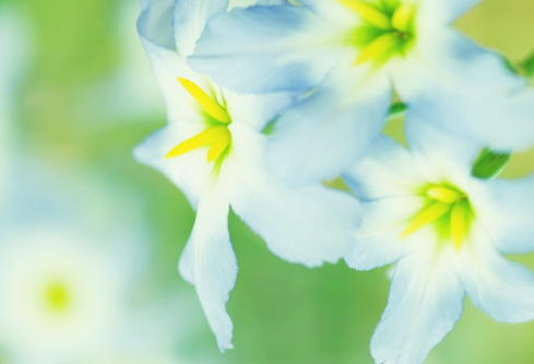 1687264098917790.png image.png