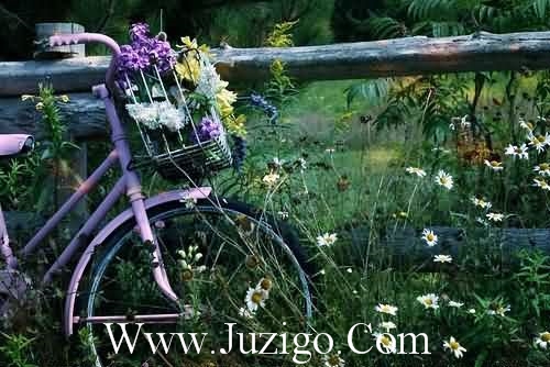 开学的文案说说新春开学寄语(精选35句)