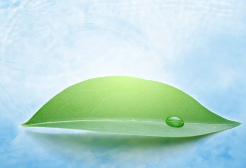 1687269760845051.png image.png