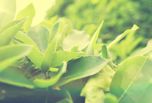 1687269926216862.png image.png