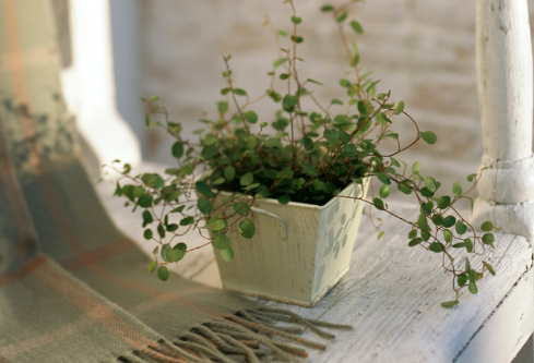 1687271258248004.png image.png