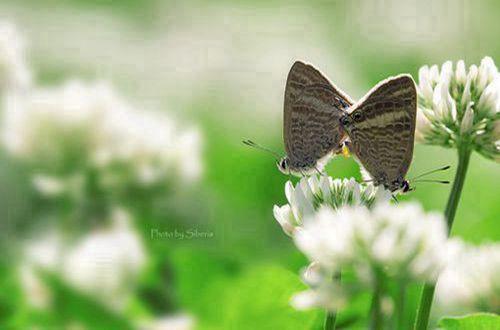 早安暖心话短句 每天以最好的状态迎接生活的说说