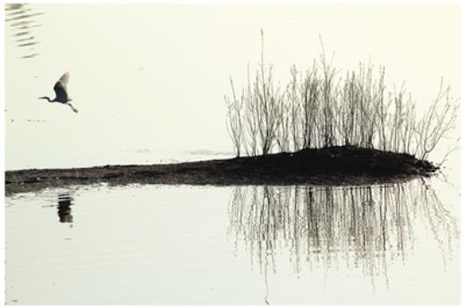 母亲节经典文案