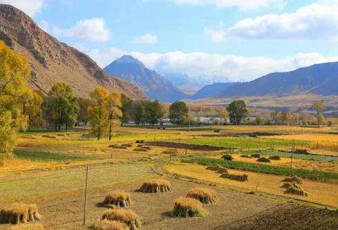 1688427998328500.png image.png