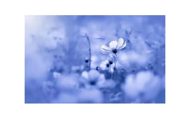 什么情话最吸引女孩子(土味情话撩女朋友短句) 什么情话最吸引女孩子(土味情话撩女朋友短句)