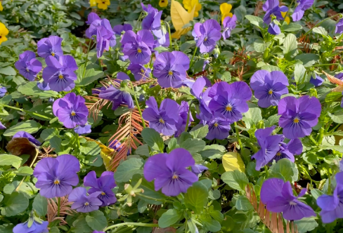 1708260046597226.png image.png