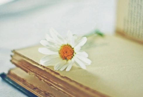 1687285258575886.png image.png