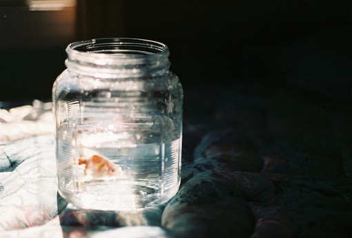 2026年网络流行语句81句