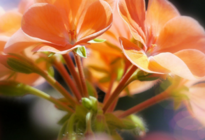 ​宽容待人的名言警句34句