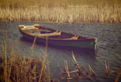 ​劝学励志的句子 励志劝学名言名句大全