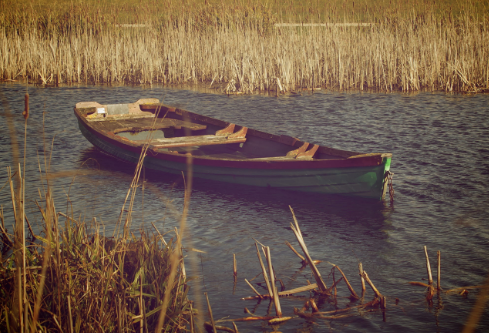 1761552725945996.png image.png