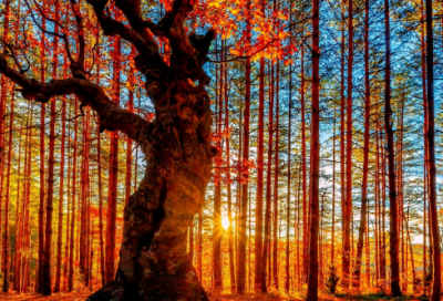 英文足球励志名言32句