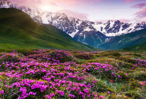 1761553392817941.png image.png