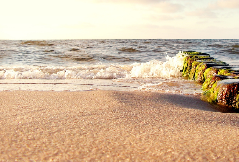 1761553559332167.png image.png