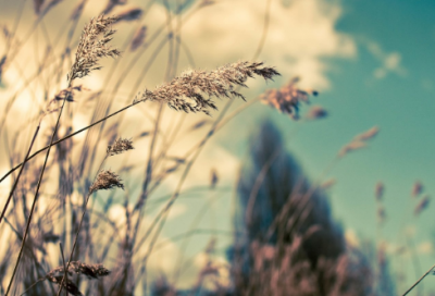 关于实现目标励志名言