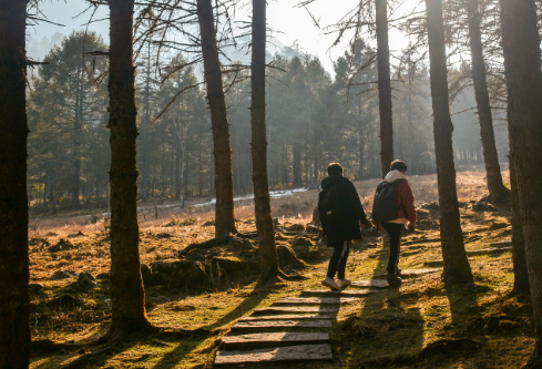 1761553893302085.png image.png