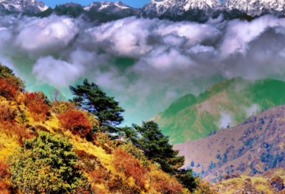 ​爱情公寓胡一菲名言30句