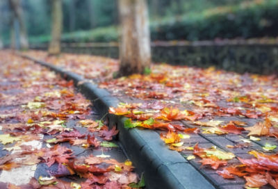 关于诚信的名言或谚语66句