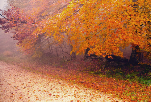 1761554566906661.png image.png