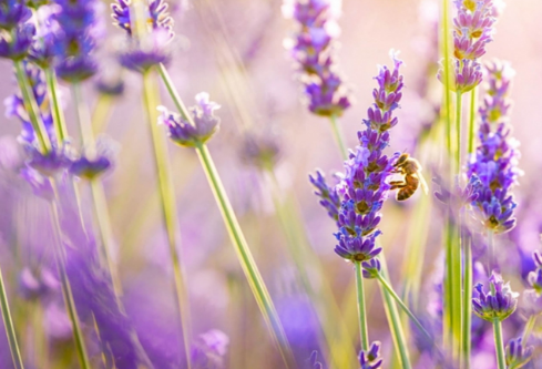 1761554731115268.png image.png