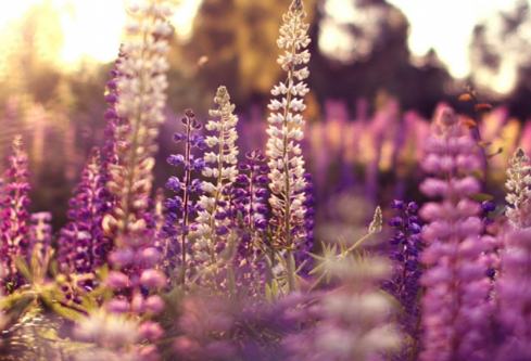 1761555066286459.png image.png