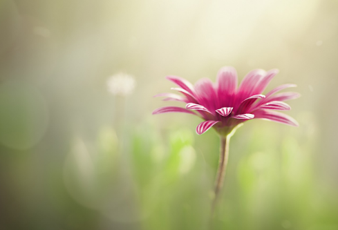 1761556727904315.png image.png