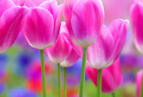 1761557394632557.png image.png