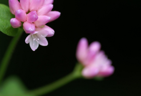 1761557727666898.png image.png