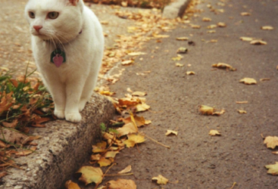 有关进取的名人名言32句