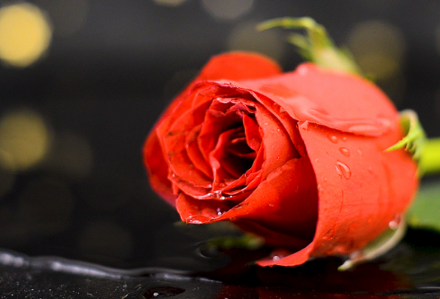 1761558559607826.png image.png