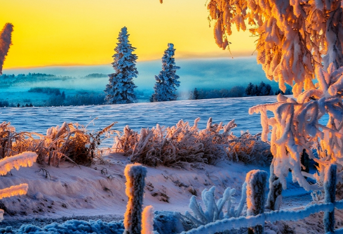 1761559225423051.png image.png