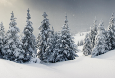 巴金富有哲理的名言28句