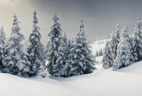 1761559391965375.png image.png