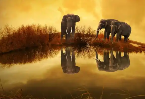 1761559558203994.png image.png