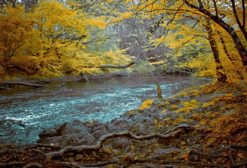 1761559893825644.png image.png