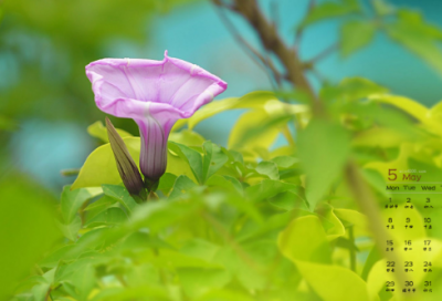 诚实守信的名言警句或谚语71句